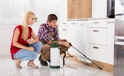 床上放什么可以驱蟑螂 如果床上被蟑螂爬过还能睡吗