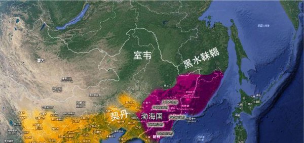 金国和清朝是一个民族的人吗