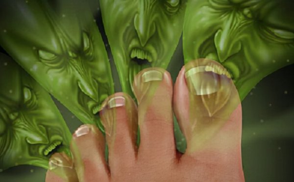 维生素是谁发明的