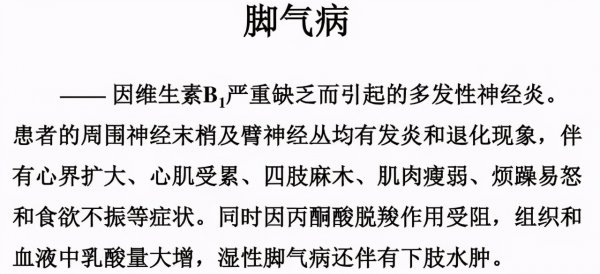 维生素是谁发明的