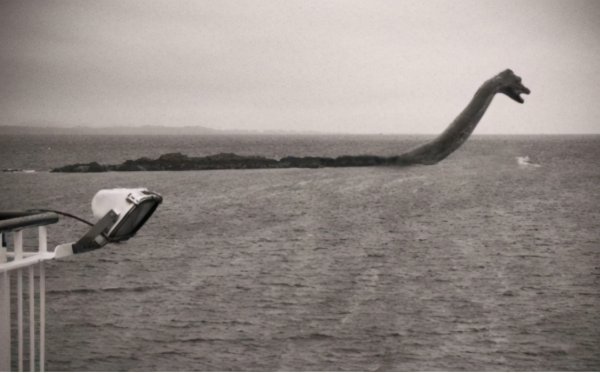 恐龙怎么灭绝的为什么