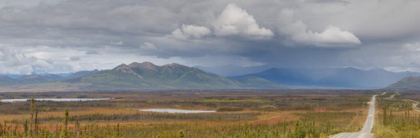 葡萄什么时候进入中国