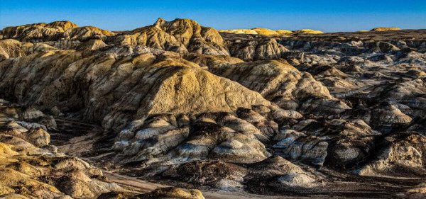 葡萄什么时候进入中国