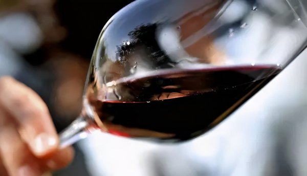 单宁决定葡萄酒的什么