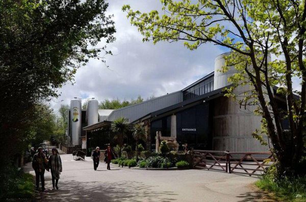 威士忌是哪个国家的酒