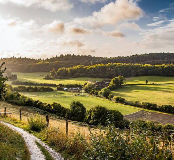 威士忌是哪个国家的酒