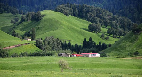 新疆的独库公路简介