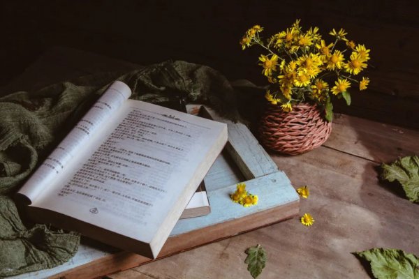 晚清名臣曾国藩最励志的句子