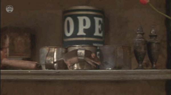 老鼠受不了的声波频率是多少