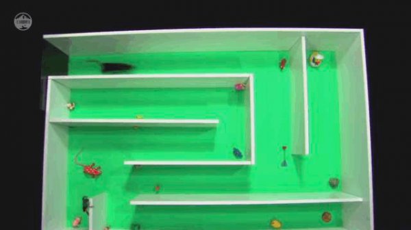 老鼠受不了的声波频率是多少