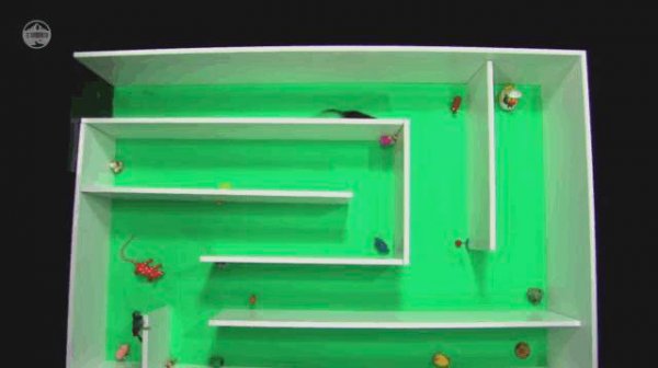 老鼠受不了的声波频率是多少