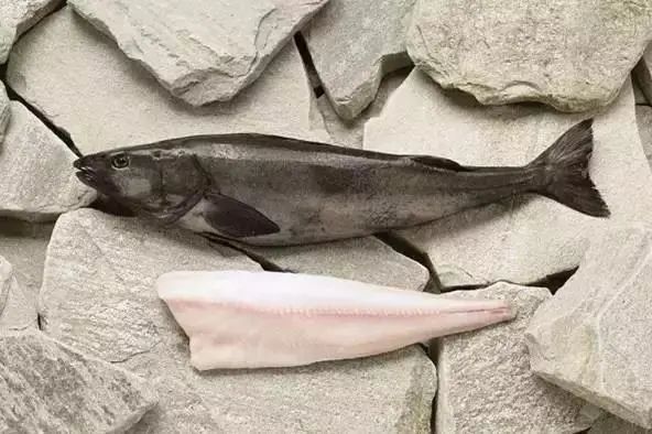 真鳕鱼和银鳕鱼的区别