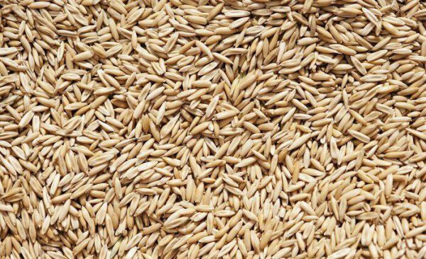 五谷杂粮有哪些品种