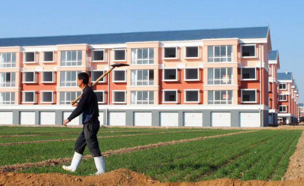 老人去世销户土地归谁