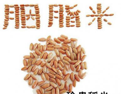 中国最贵的大米多少钱一斤 世界上最贵的大米是什么大米