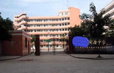 实验小学和普通小学的区别 实验小学是不是比普通小学好