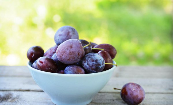 乌梅和西梅的区别有什么