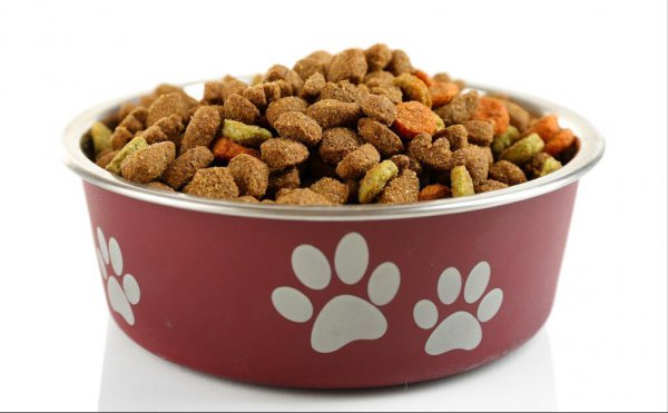 泰迪狗粮哪个牌子的品质好