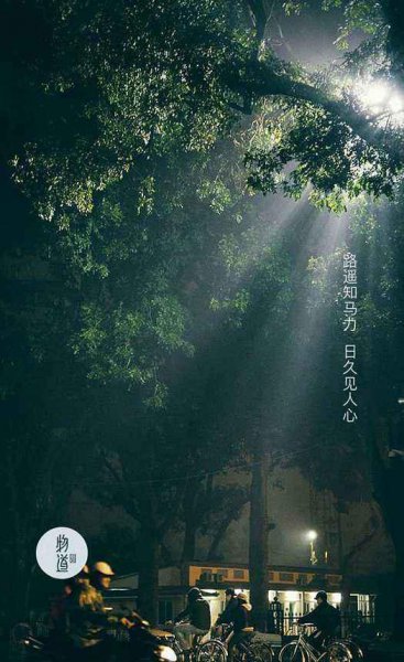 路遥知马力什么意思