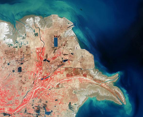 黄河泥沙为什么没有把渤海填平