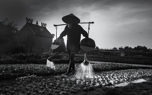 中国活的最长的人是谁