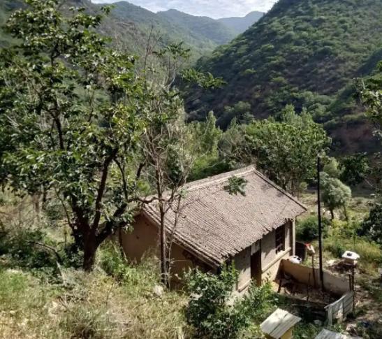 中国活的最长的人是谁