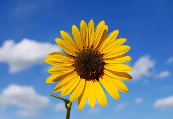 中国活的最长的人是谁