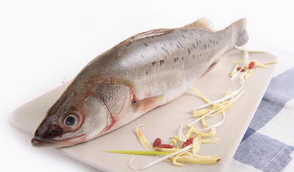 市场活鲈鱼是海鱼还是淡水鱼