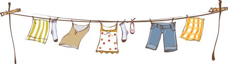 生长期与生长周期区别