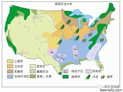 生长期与生长周期区别