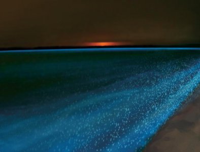 赤潮是怎么形成的原因 出现赤潮的危害和防治措施