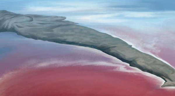 赤潮是怎么形成的原因