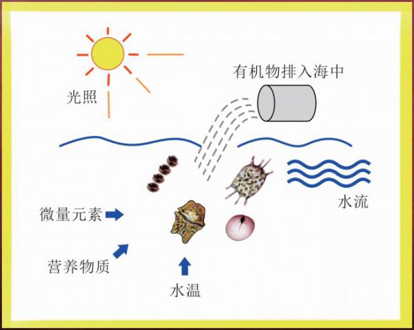 赤潮是怎么形成的原因