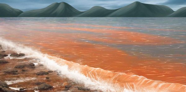 赤潮是怎么形成的原因