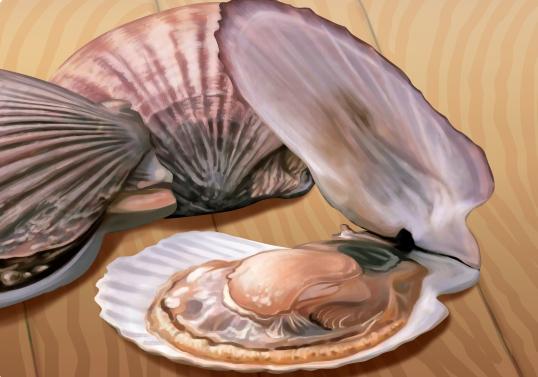 赤潮是怎么形成的原因