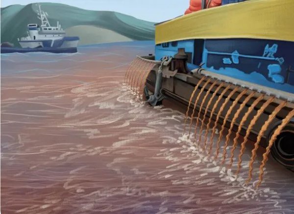 赤潮是怎么形成的原因