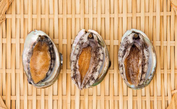 鲍鱼可以冷冻储存吗