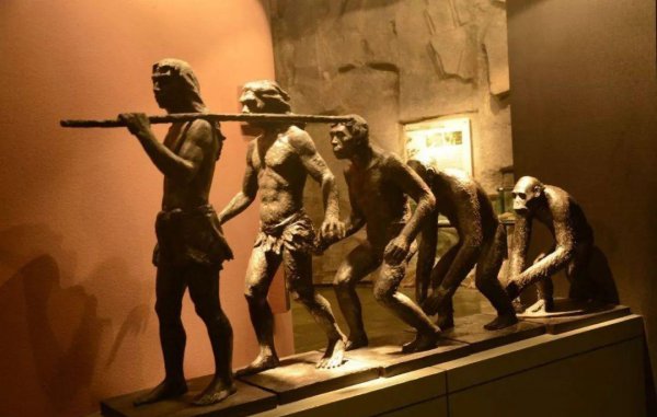 进化论被推翻三大理由