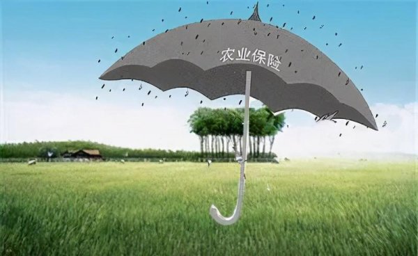 三大粮食作物是指什么