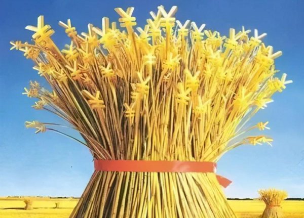 三大粮食作物是指什么