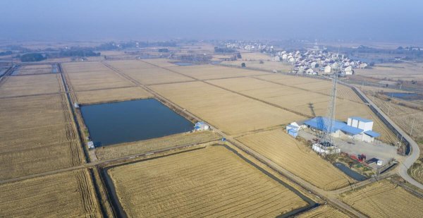 高标准农田建设多少钱一亩