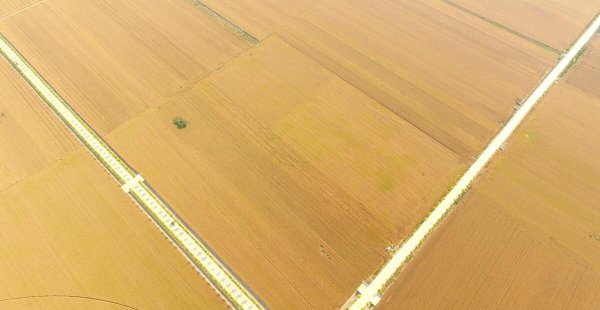 高标准农田建设多少钱一亩