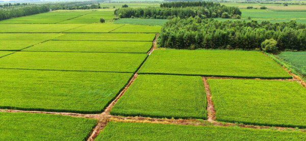 高标准农田建设多少钱一亩