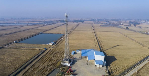 高标准农田建设多少钱一亩