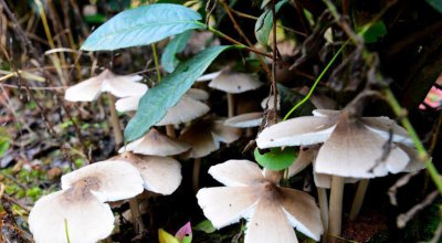 云南必买的十大特产 云南最出名最受欢迎的特产类型