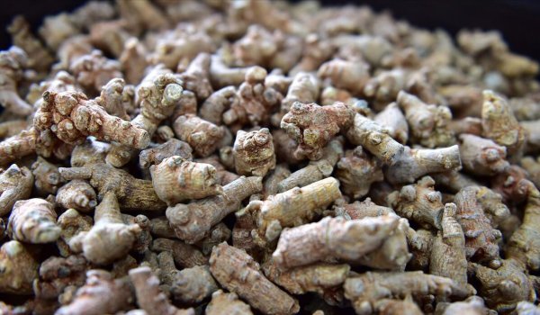 云南必买的十大特产