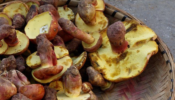 云南必买的十大特产