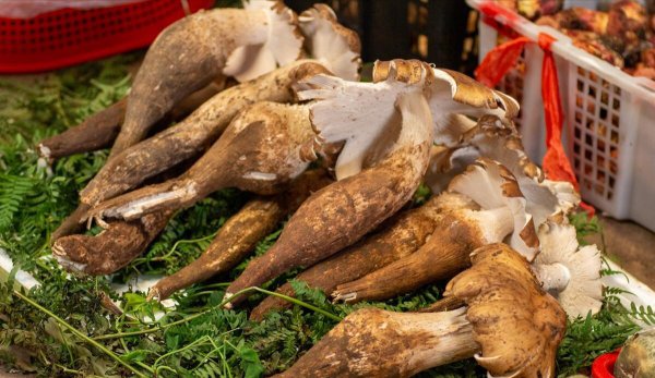 云南必买的十大特产