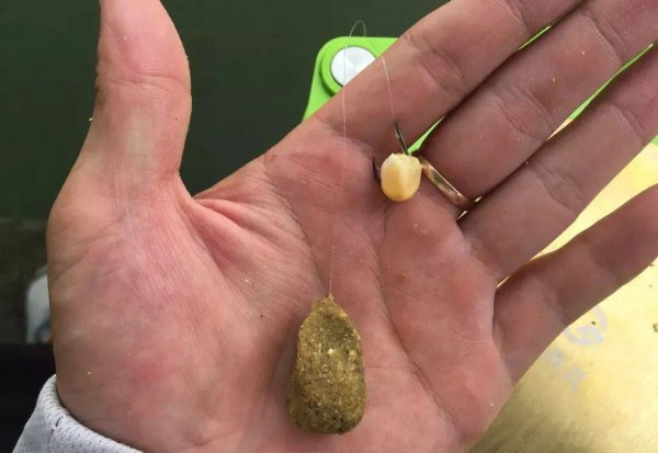 草鱼钓底还是钓浮好