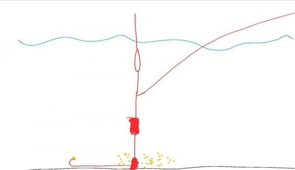 草鱼钓底还是钓浮好